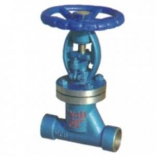 Bellows globe valve